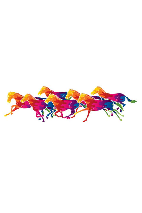 Colourful Horses Sweatshirt Hoodies for Women Design